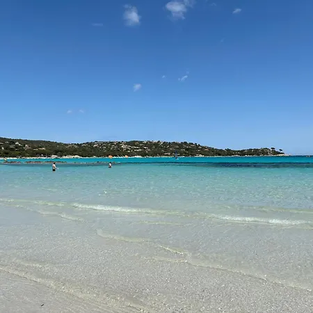 Porto-vecchio Lecci